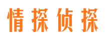 柳城市侦探公司